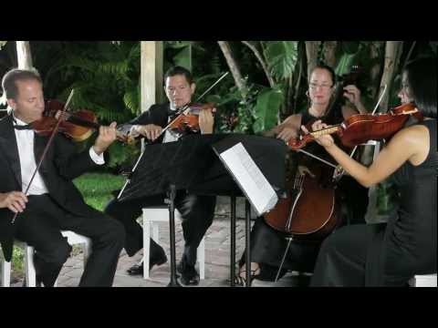 Stradivarius Chamber Ensemble - Wedding Promo Video