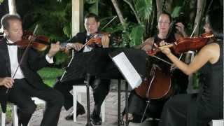 Stradivarius Chamber Ensemble - Wedding Promo Video
