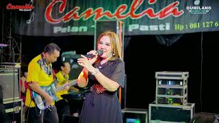 Download lagu FULL ALBUM CAMELIA PELAN TAPI PASTI - WEDDING MEGA & ARIK CEPOGO KEMBANG JEPARA mp3 Download lagu FULL ALBUM CAMELIA PELAN TAPI PASTI - WEDDING MEGA & ARIK CEPOGO KEMBANG JEPARA mp3