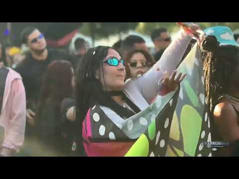 Aftermovie Terratronic 2025