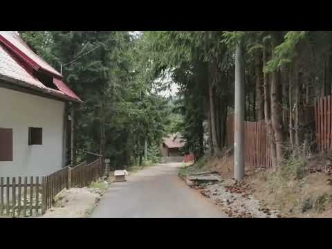 Stațiunea Muntele Băișorii