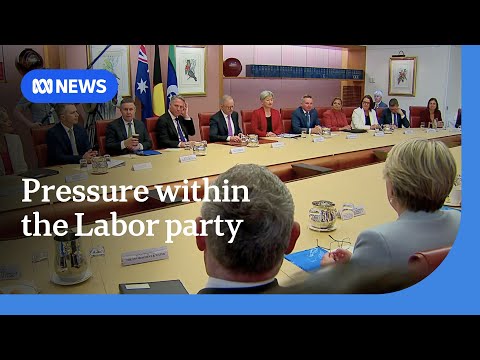 Government vows to banish ALP members who engaged in antisemitic or racist behaviour | ABC NEWS