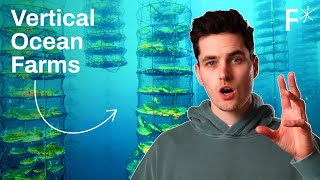 DIY regenerative ocean farms: The future of food and fuel? | Future Ex