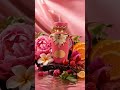 Video: Lattafa Jouri EDP 100 ml
