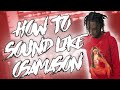 HOW TO SOUND LIKE OSAMASON NEW PRESET PACK