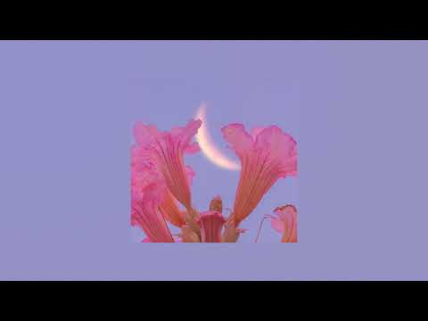 [FREE] Tobi Lou x Smino x Amine Type Beat "FLOVVER" (Prod. loopinseoul)