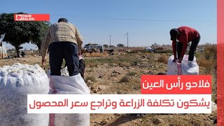 فلاحو رأس العين يشكون تكلفة الزراعة وتراجع سعر المحصول