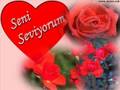 Aysu Seni Çok Seviyorum Meleğimmm 