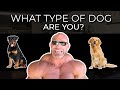 2 Types of Dog in the World! (Know What Kind You Need)