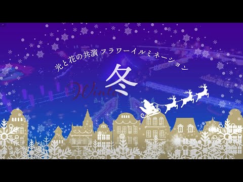 とっとり花回廊　冬