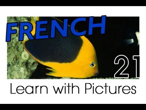 Learn French French Vegetable Vocabulary