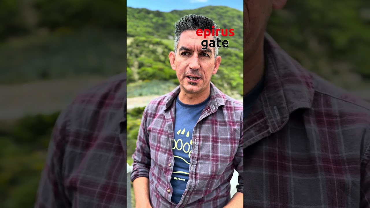 Εγκλωβισμένη αρκούδα με τα μικρά της στον κόμβο της Εγνατίας κοντά στο Μέτσοβο