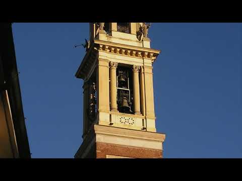 Le campane di Corbetta (MI) - Registrazione audio del concerto (2)
