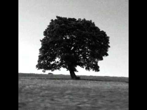 Inexistenz - Zurück in die Ursprünglichkeit (nacher wie bevor)