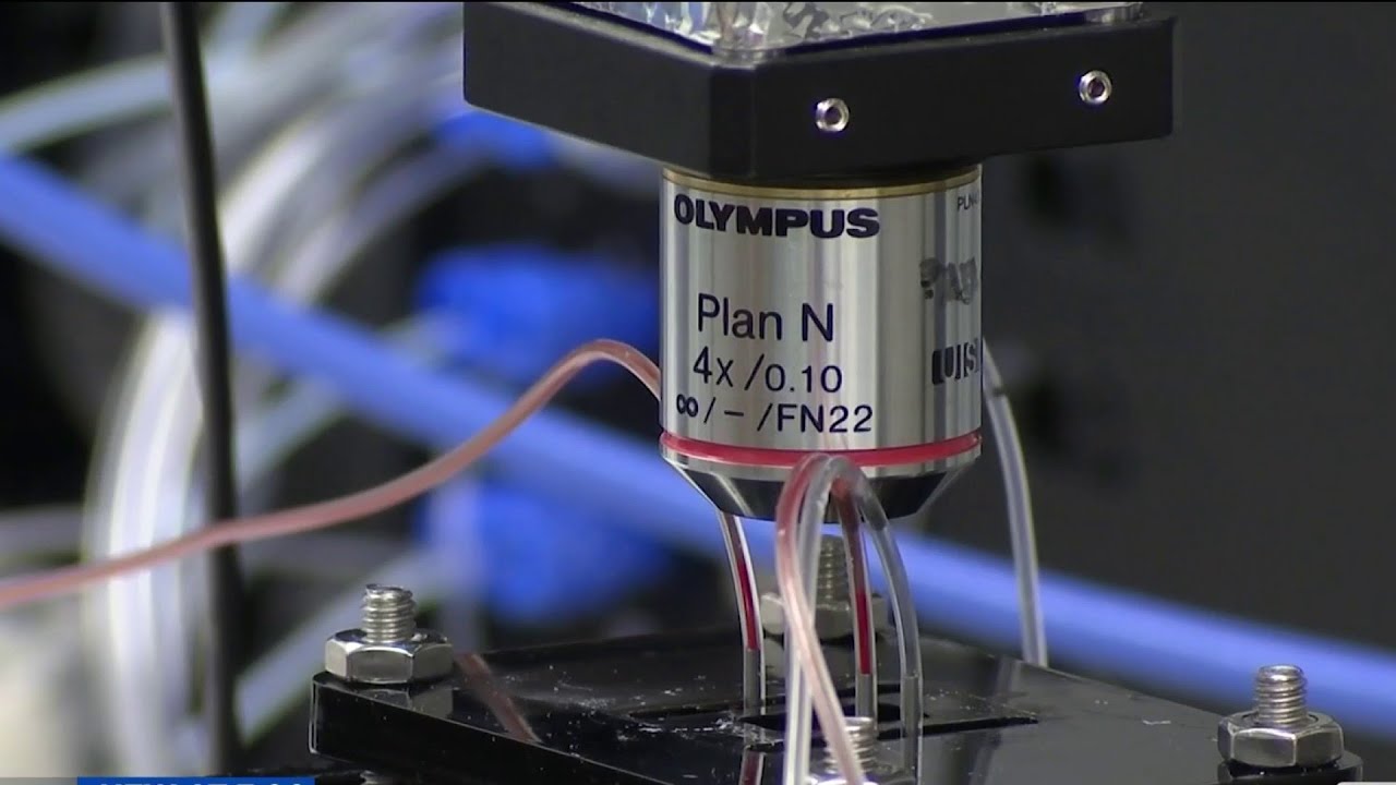 UCF scientists developing instant virus detector