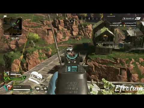 Rushear a Tozzu-Kush male sal.