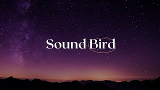 Big Gigantic - Shooting Stars