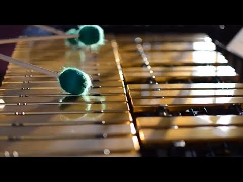 The Vibraphone Electric