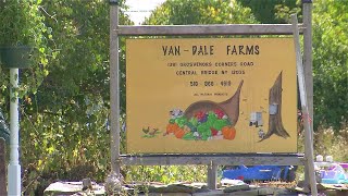 35 sheep seized from Schoharie County farm