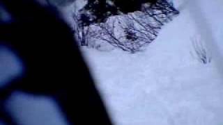 snowboarding in the trees at lookout