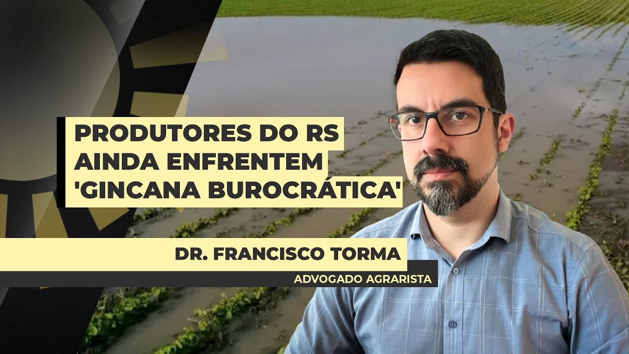 No RS, produtores aguardam por securitização das dívidas como alternativa para a dificuldade de ...