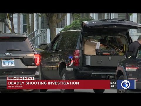 VIDEO: Homicide investigation underway in New Haven