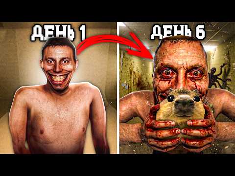 Просмотреть видео