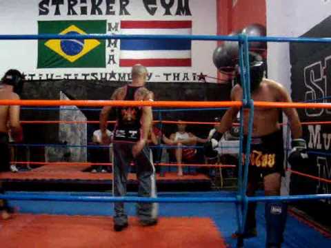 Sriker GYM Monge Canela x Coyote