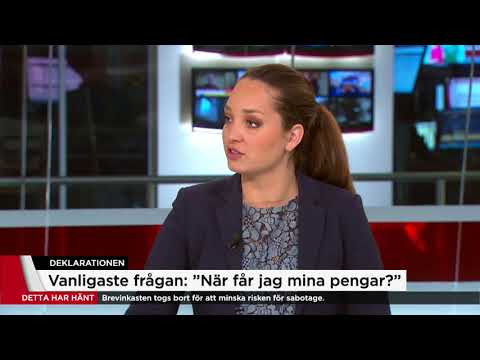 Deklarationspanik? Hör expertens tips - Nyheterna (TV4)