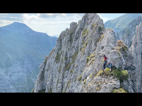 Acele Morarului - Acul Mare