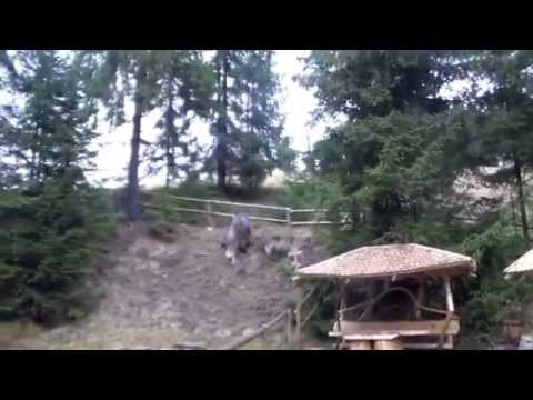 MĂTIȘEȘTI SAT EUROPEAN