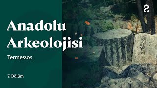 Anadolu Arkeolojisi | Termessos