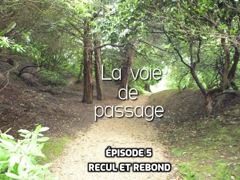 Recul et rebond - épisode 5