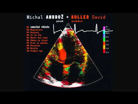 MICHAL AMBROŽ & DAVID KOLLER - Srdeční příběh [Official Audio]