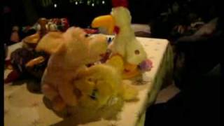 preview picture of video 'Die Neujahrs-Ente 2009 mit ihren Freunden'