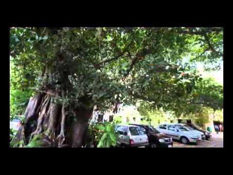 Institute for Financial Management and Research: Courses, Fees ...