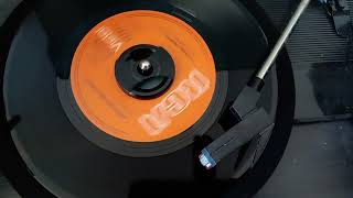 Michael Nesmith &amp; The First National Band - Lady Of The Valley