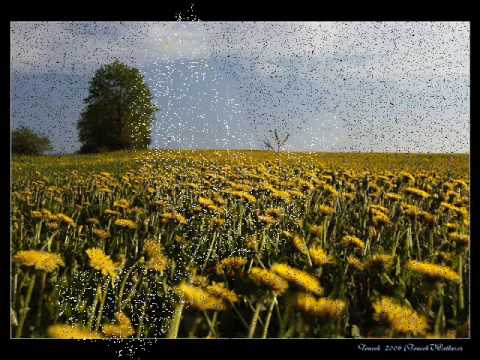 Hymna č. 2 - Autor: Žaneta