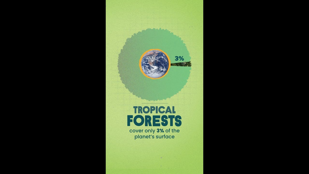 Biodiversity The Foundation of Life