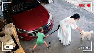 OS FRACASSOS MAIS ENGRAÇADAS FLAGRADOS PELAS CÂMERAS