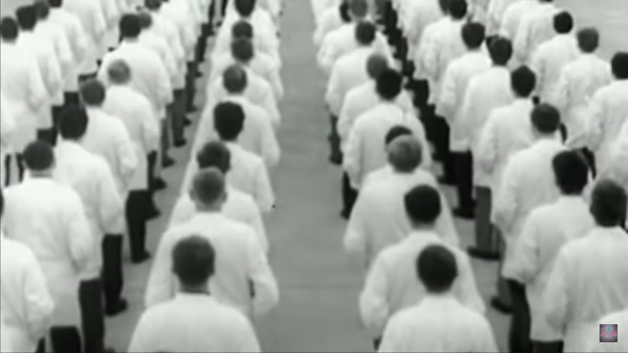 Statin Nation: The Great Cholesterol Cover-Up