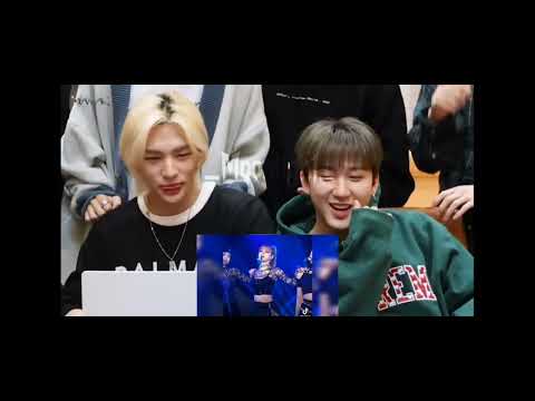 💙S͓̽t͓̽r͓̽a͓̽y͓̽K͓̽i͓̽d͓̽s͓̽💙 react to lisa tikrok