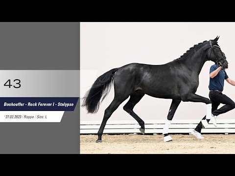 43 Hengst v Bonhoeffer - Rock Forever I