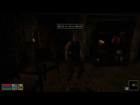 Morrowind P5 | No Commentary