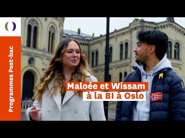 Image de présentation de la vidéo