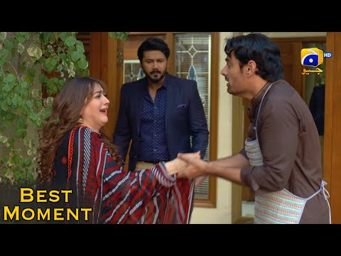 Grift Episode 19 || Ali Abbas - Saniya Shamshad || 𝐁𝐞𝐬𝐭 𝐌𝐨𝐦𝐞𝐧𝐭 𝟎𝟏 || Har Pal Geo