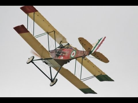 LARGE SCALE DAWN PATROL RC WW1 SCOUT / FIGHTERS - RAF COSFORD - 2013