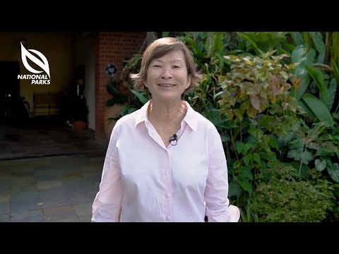 The Garden Invasion Series: Min's Garden