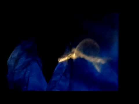 Mondaufgang im "Mantelwald", November 2022