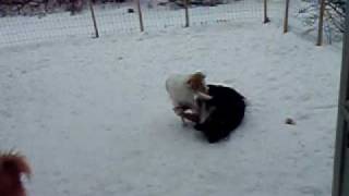 Snow07